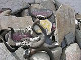 Tibet Kailash 02 Nyalam 08 Gompa Mani Stones and Horns